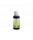 Sinergy Winter Prvention  eterisk olje 30ml  thumbnail